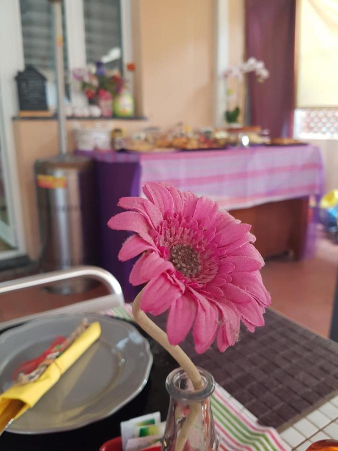 Bed and Breakfast Ghiro Ghiotto Pietra Ligure Zewnętrze zdjęcie