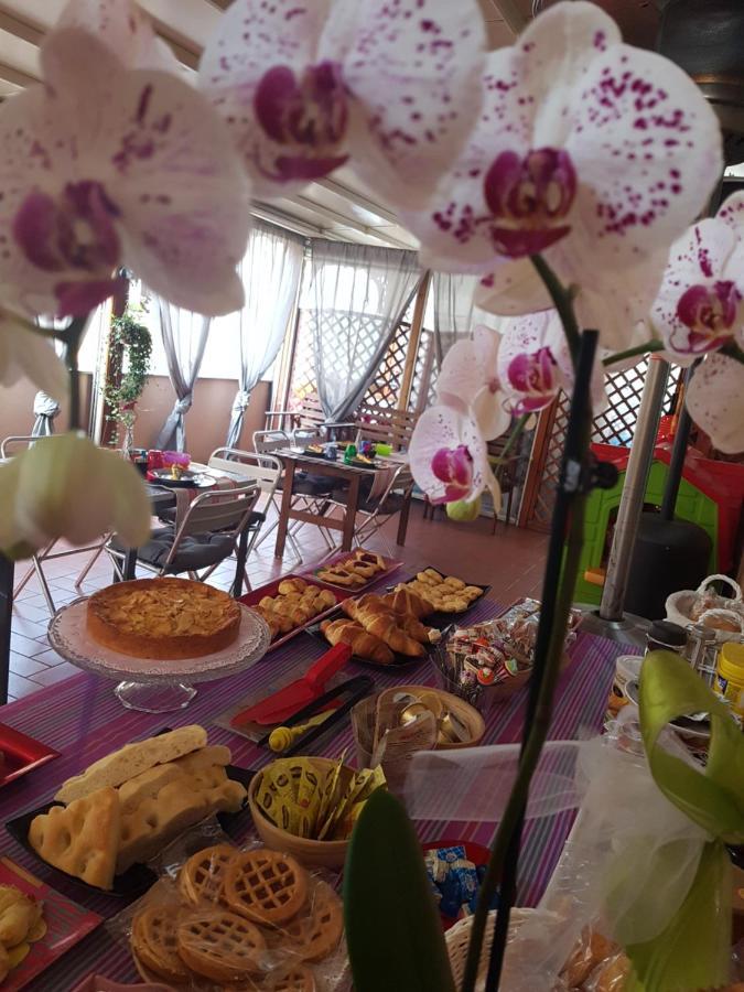 Bed and Breakfast Ghiro Ghiotto Pietra Ligure Zewnętrze zdjęcie